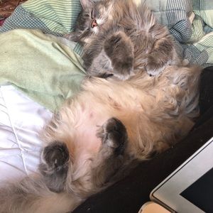 Meet your Posher, Juliana